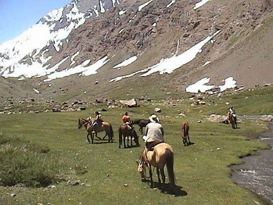 Ven a mi cafes con amor